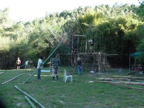 Private Properties - Bamboo, Jungle, Exotic, Forest (26/11/2013)