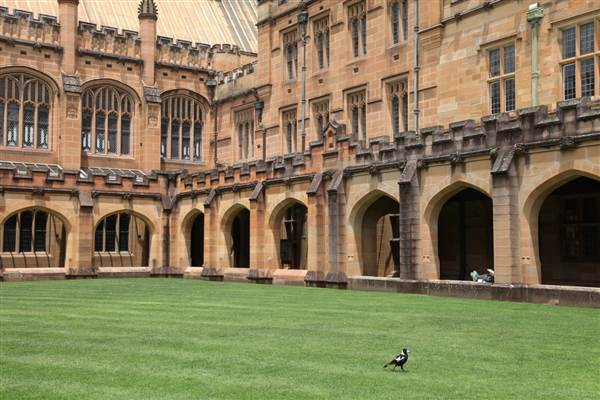 The Quadrangle Building - Sydney University (26/11/2013)
