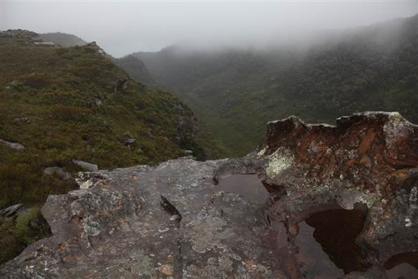 Mt Banks (28/11/2013)