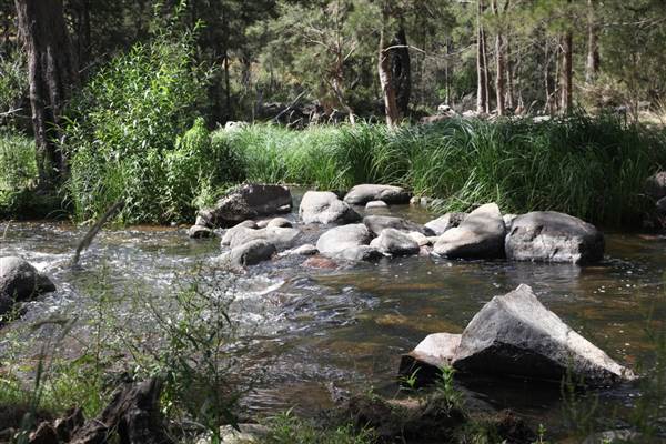 Coxs River - Glenroy Cabins and Camp Ground - Canon 5D (13/12/2012 - Credits: Luke Torrevillas)