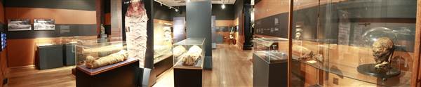 Nicholson Museum - The University of Sydney (28/11/2013)