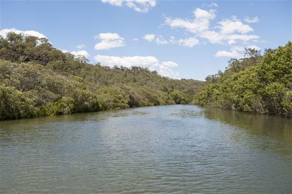 Georges River (5/12/2013)