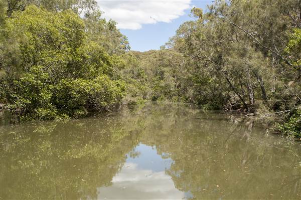 Georges River (5/12/2013)