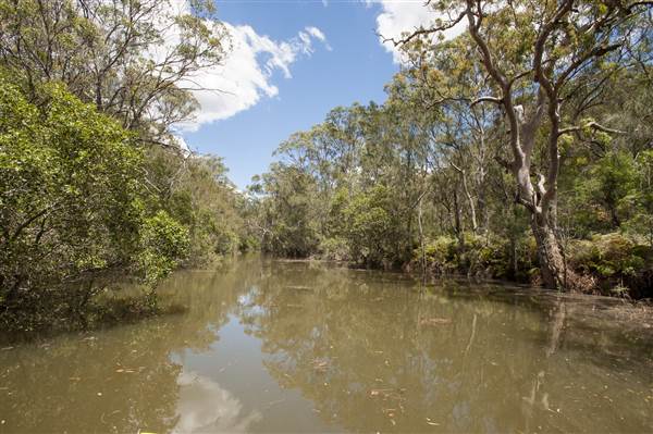 Georges River (5/12/2013)