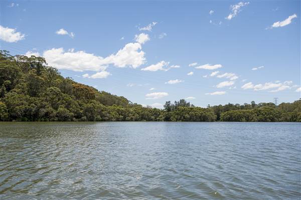 Georges River (5/12/2013)