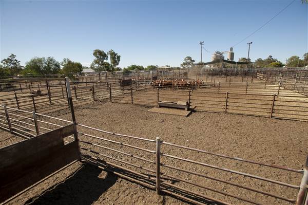 Coonamble (26/11/2013)