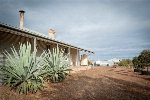 Mount Gipps Station (6/06/2013 - Credits: Colin McDougall)
