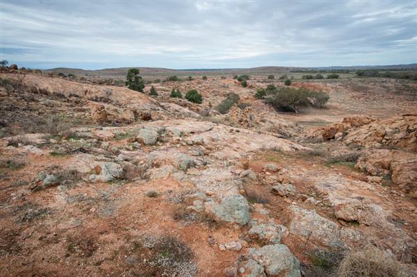Mount Gipps Station (6/06/2013 - Credits: Colin McDougall)