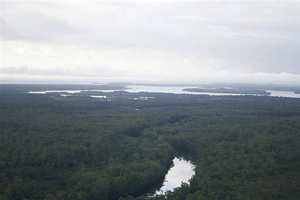 Bundjalung National Park (3/04/2014)