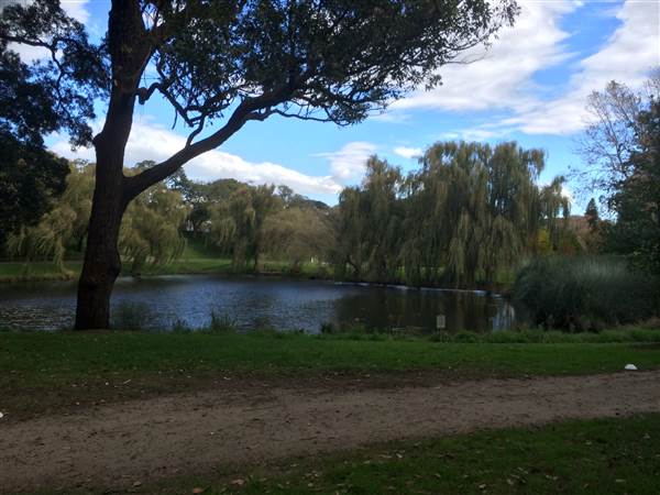 Centennial Park (25/06/2014)