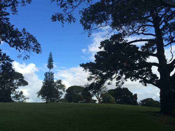 Centennial Park (25/06/2014)