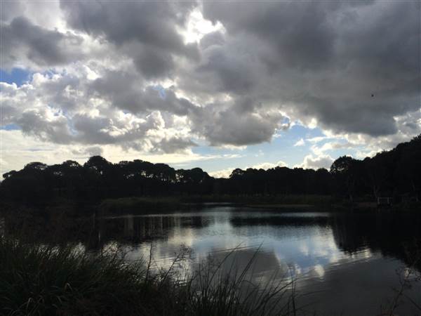 Centennial Park (25/06/2014)