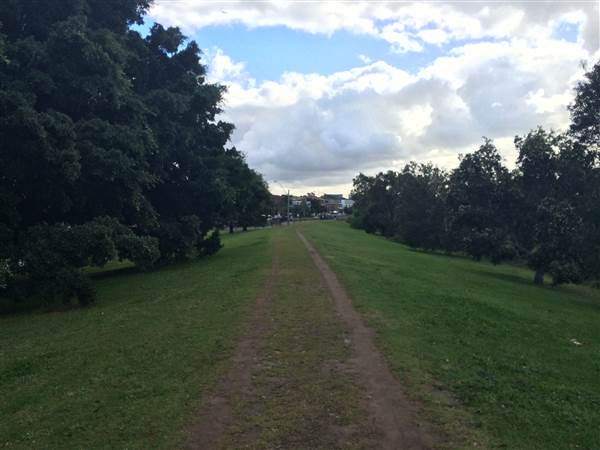 Centennial Park (25/06/2014)
