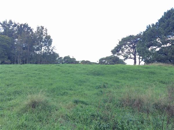 Centennial Park (25/06/2014)