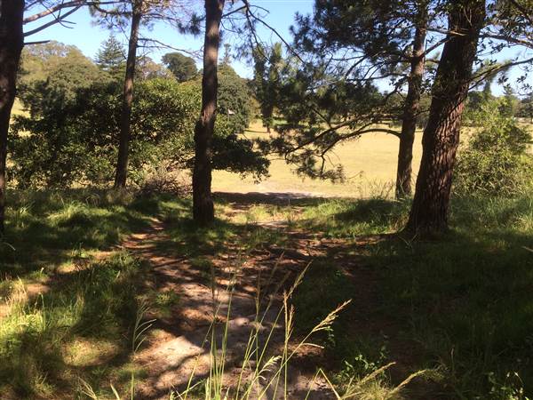 Centennial Park (25/06/2014)