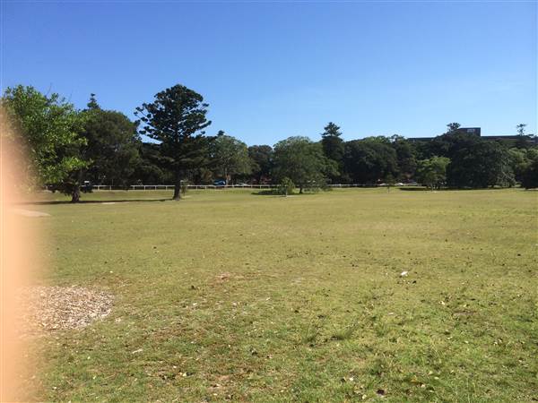 Centennial Park (25/06/2014)