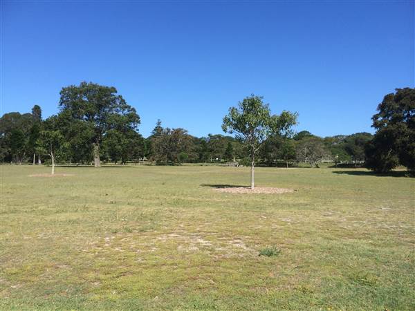 Centennial Park (25/06/2014)