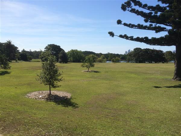 Centennial Park (25/06/2014)