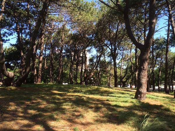 Centennial Park (25/06/2014)