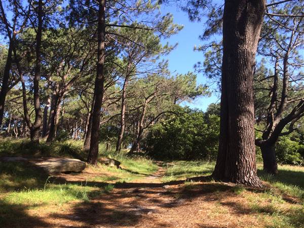 Centennial Park (26/06/2014)