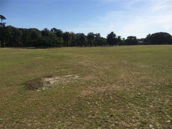 Centennial Park (26/06/2014)