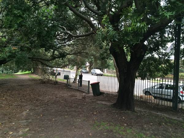 Centennial Park (26/06/2014)