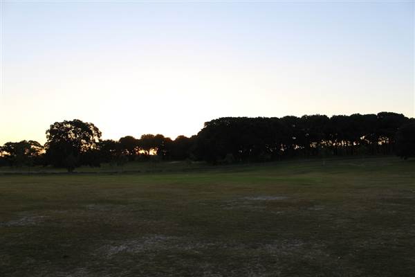 Centennial Park - Loch Ave South (7/07/2014)