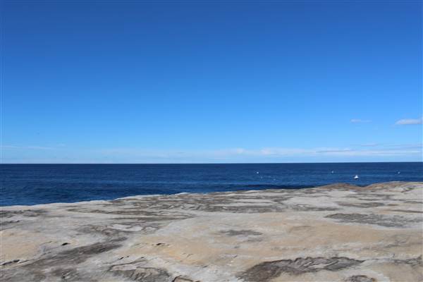 Clovelly Beach (7/07/2014)