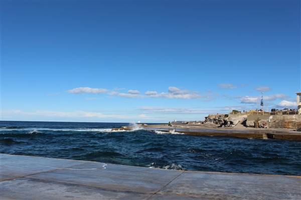 Clovelly Beach (7/07/2014)