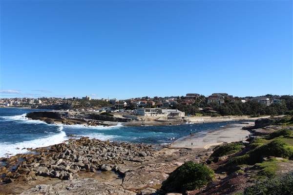 Clovelly Beach (7/07/2014)