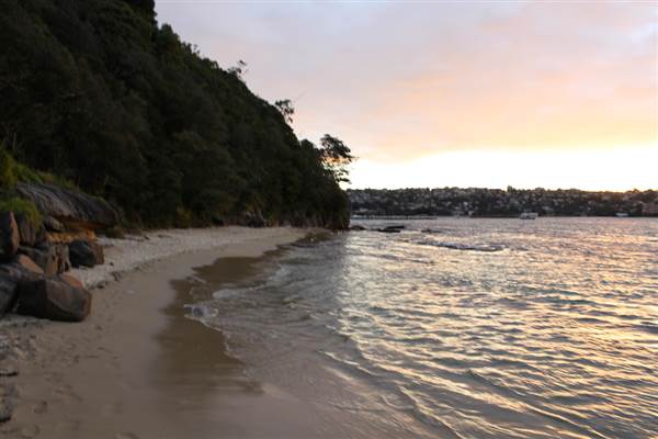 Cobblers Beach - Sydney Harbour National Park (7/07/2014 - Credits: Jeremy Peek)