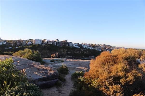 Dunningham Reserve Coogee (9/07/2014 - Credits: Jeremy Peek)