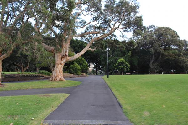 The Domain - Royal Botanic Garden Sydney (24/10/2014)