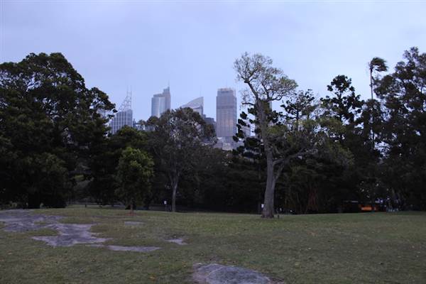 Mrs. Macquarie's Point - Royal Botanic Garden Sydney (24/10/2014)