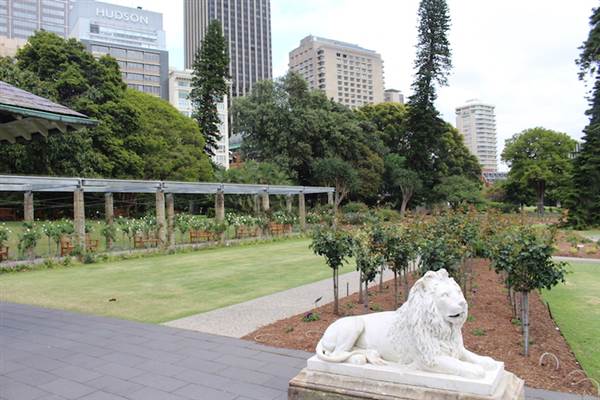 Rose Garden & Pavilion - Royal Botanic Garden Sydney (24/10/2014)
