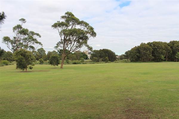 Centennial Park - Ash Paddock (24/10/2014)