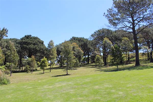 Centennial Park - Belvedere Amphitheatre (24/10/2014)