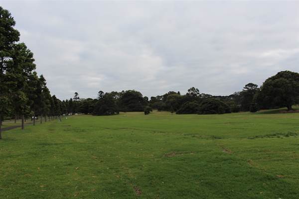 Centennial Park - Brazilian Fields (24/10/2014)