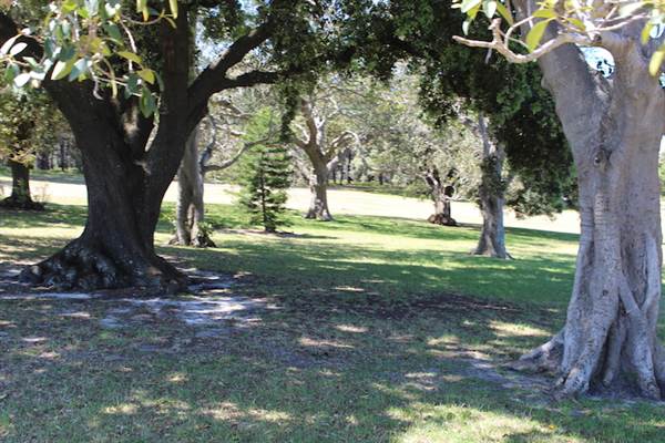 Centennial Park - Brazilian Fields (24/10/2014)
