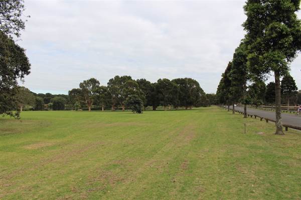 Centennial Park - Church Grounds (24/10/2014)