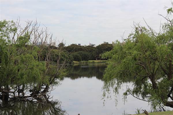 Centennial Park - Church Grounds (24/10/2014)