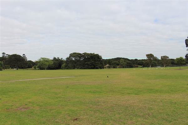 Centennial Park - Church Grounds (24/10/2014)