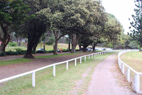 Centennial Park - Equestrian Grounds (24/10/2014)