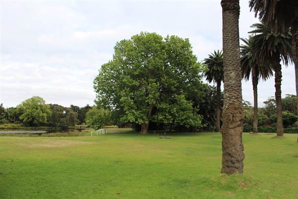Centennial Park - Lachlan Reserve (24/10/2014)