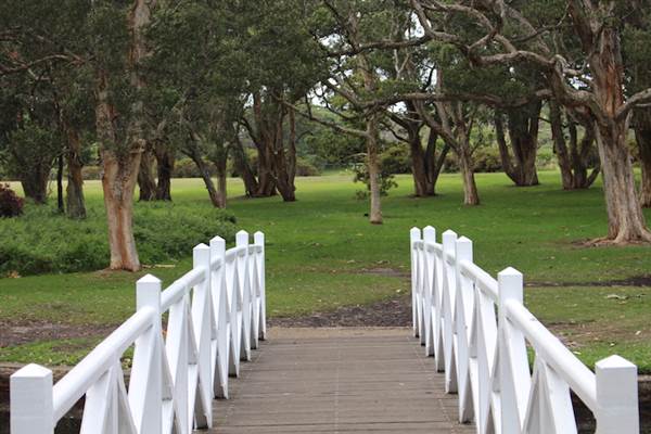 Centennial Park - Lachlan Reserve (24/10/2014)