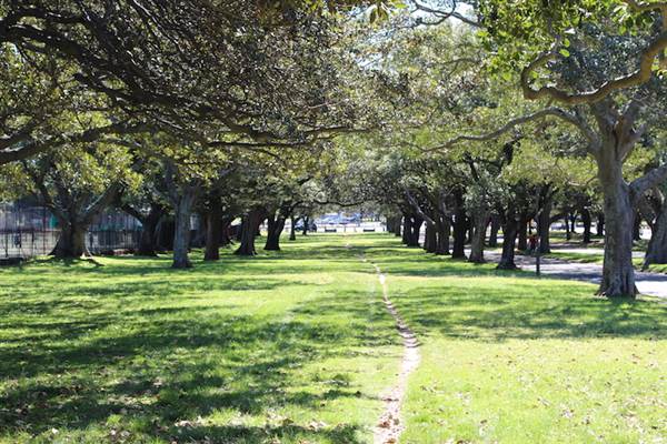 Centennial Park - Federation Way (24/10/2014)