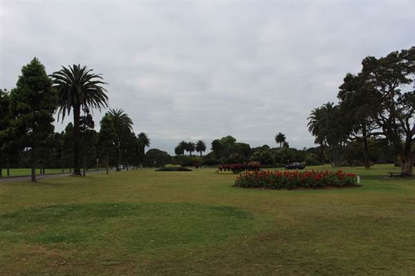 Centennial Park - Frog Hollow (24/10/2014)