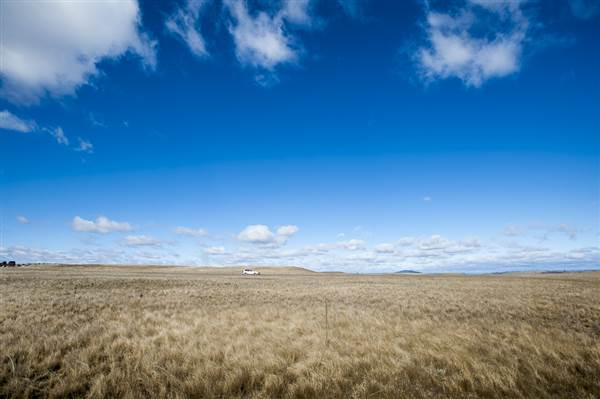 Monaro Plains (14/11/2014 - Credits: Colin McDougall)