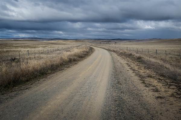 Monaro Plains (14/11/2014 - Credits: Colin McDougall)