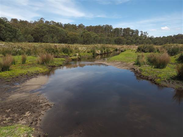Paddy's River Dam - Paddy's River Dam is inside the Bago State Forrest. It is accessible by 2WD and has large camping areas for tents and caravans. All photos taken along the Roads into Paddy's River Dam and the Walk-ways surrounding the dam. (16/12/2014 - Credits: Eastern Riverina Arts)